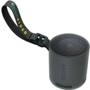 Sony Bluetooth Speaker SRS-XB100